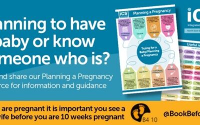 Planning a Pregnancy